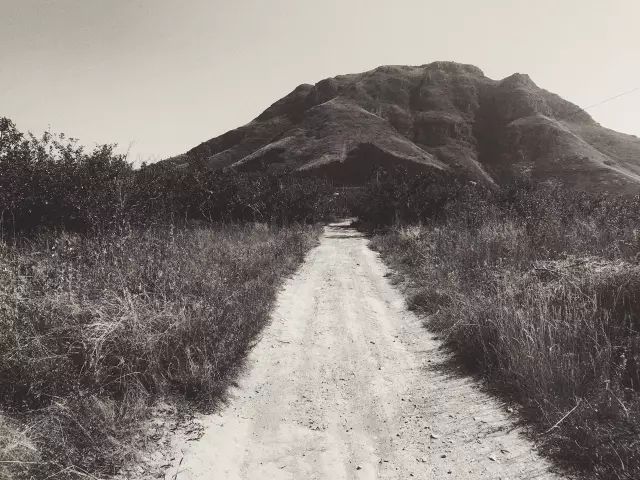 1561951022491281.jpg