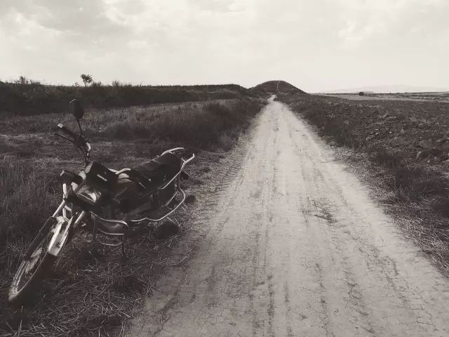 1561951392379297.jpg