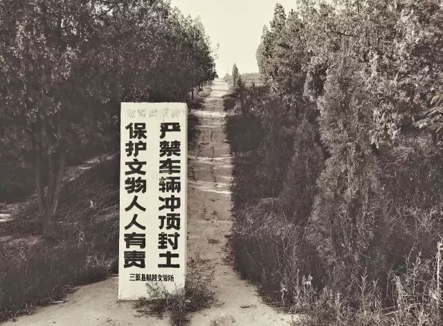1561951437974734.jpg