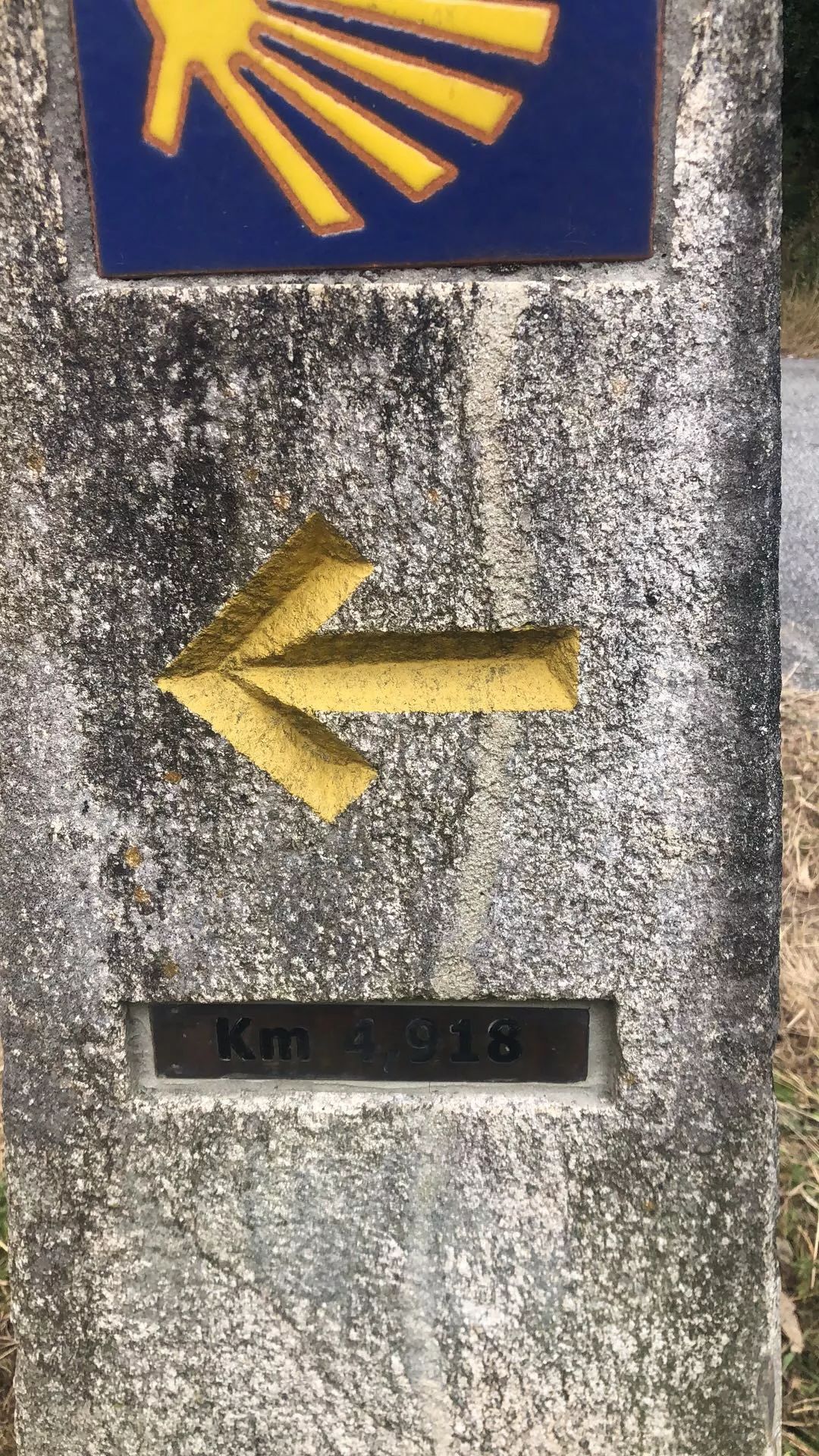 1562052802184642.jpeg